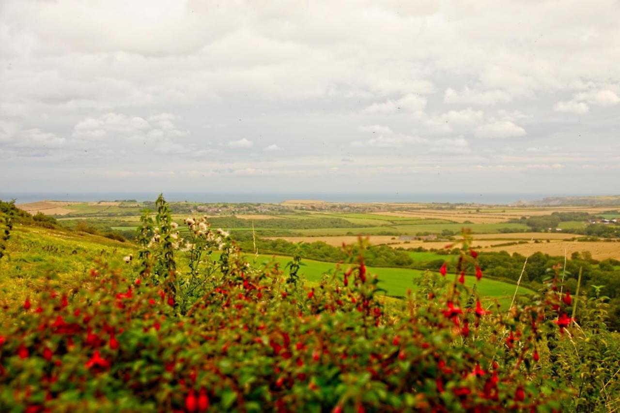 Casa vacanze Rosecombe, Borrowby Farm Staithes